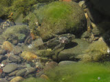 Select an image to enlarge