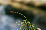 Select an image to enlarge