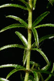 Select an image to enlarge