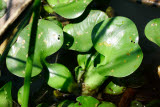 Select an image to enlarge