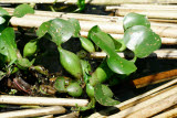 Select an image to enlarge