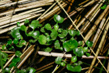 Select an image to enlarge