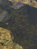 Select an image to enlarge