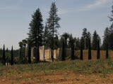 Select an image to enlarge