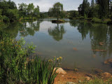 Select an image to enlarge