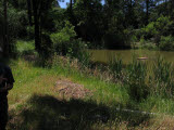 Select an image to enlarge