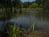Select an image to enlarge
