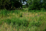 Select an image to enlarge