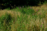 Select an image to enlarge