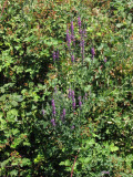 Select an image to enlarge