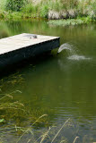 Select an image to enlarge