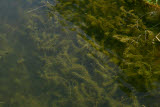 Select an image to enlarge