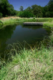 Select an image to enlarge