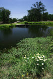 Select an image to enlarge