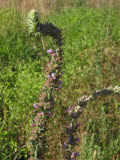 Select an image to enlarge