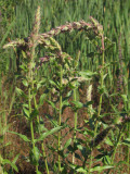 Select an image to enlarge