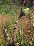 Select an image to enlarge