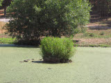 Select an image to enlarge