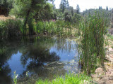 Select an image to enlarge
