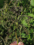 Select an image to enlarge