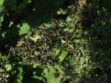 Select an image to enlarge