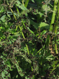 Select an image to enlarge
