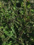 Select an image to enlarge
