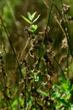 Select an image to enlarge