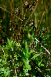 Select an image to enlarge