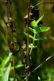 Select an image to enlarge
