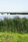 Select an image to enlarge