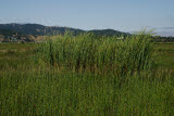 Select an image to enlarge