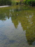 Select an image to enlarge