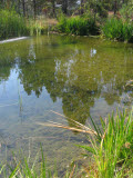 Select an image to enlarge