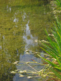 Select an image to enlarge