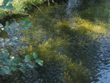 Select an image to enlarge