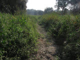 Select an image to enlarge