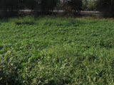 Select an image to enlarge