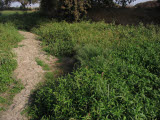 Select an image to enlarge