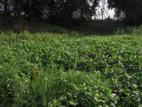 Select an image to enlarge
