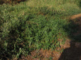 Select an image to enlarge