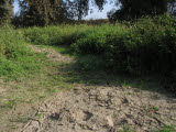 Select an image to enlarge