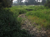 Select an image to enlarge