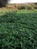 Select an image to enlarge