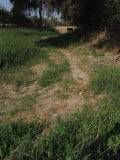 Select an image to enlarge