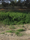 Select an image to enlarge