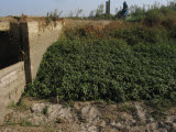 Select an image to enlarge