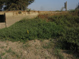 Select an image to enlarge