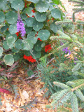 Select an image to enlarge