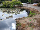 Select an image to enlarge